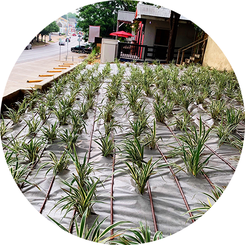 Irrigation Installation