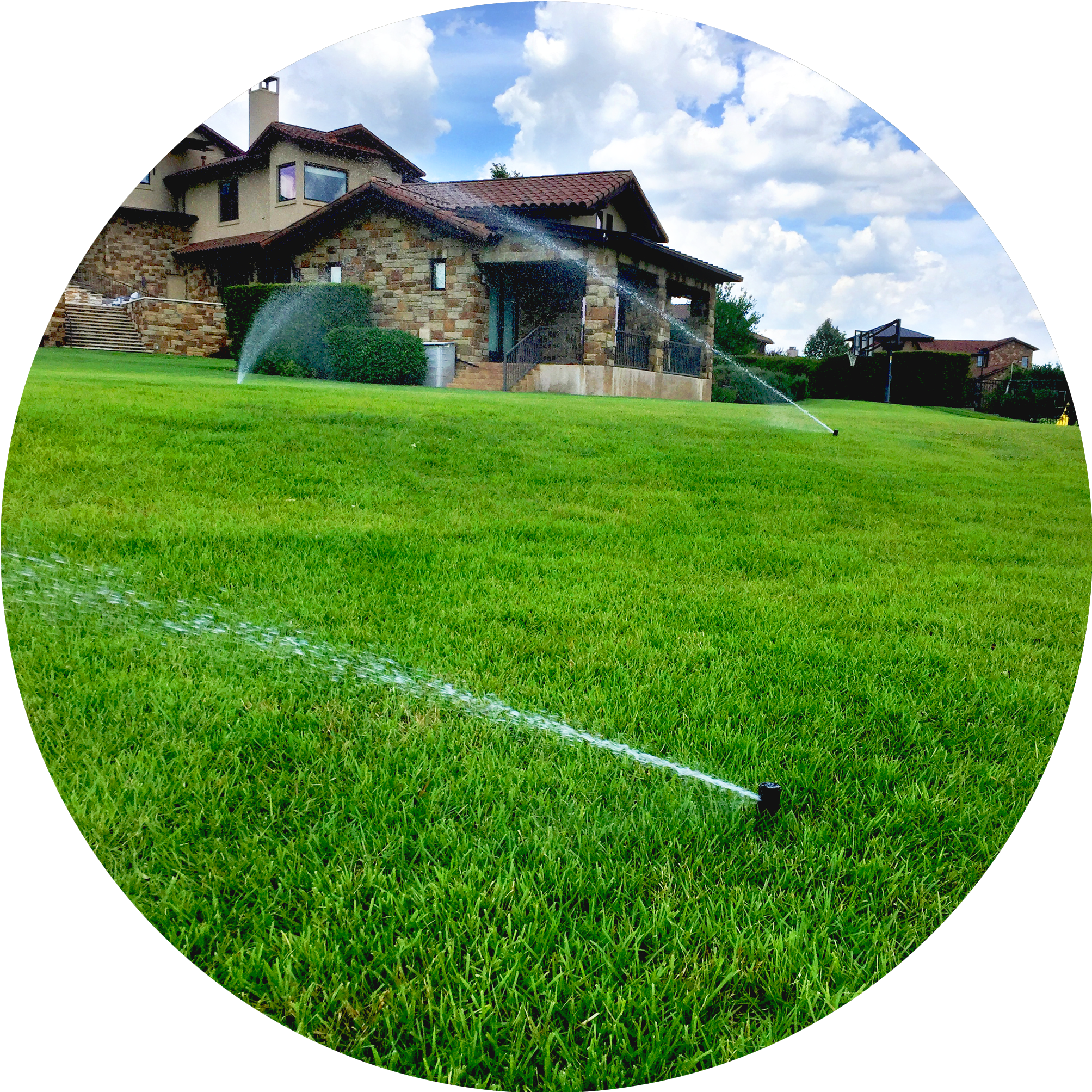 Maintenance and Management